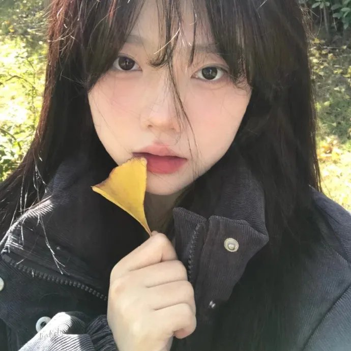罗小黑战记2